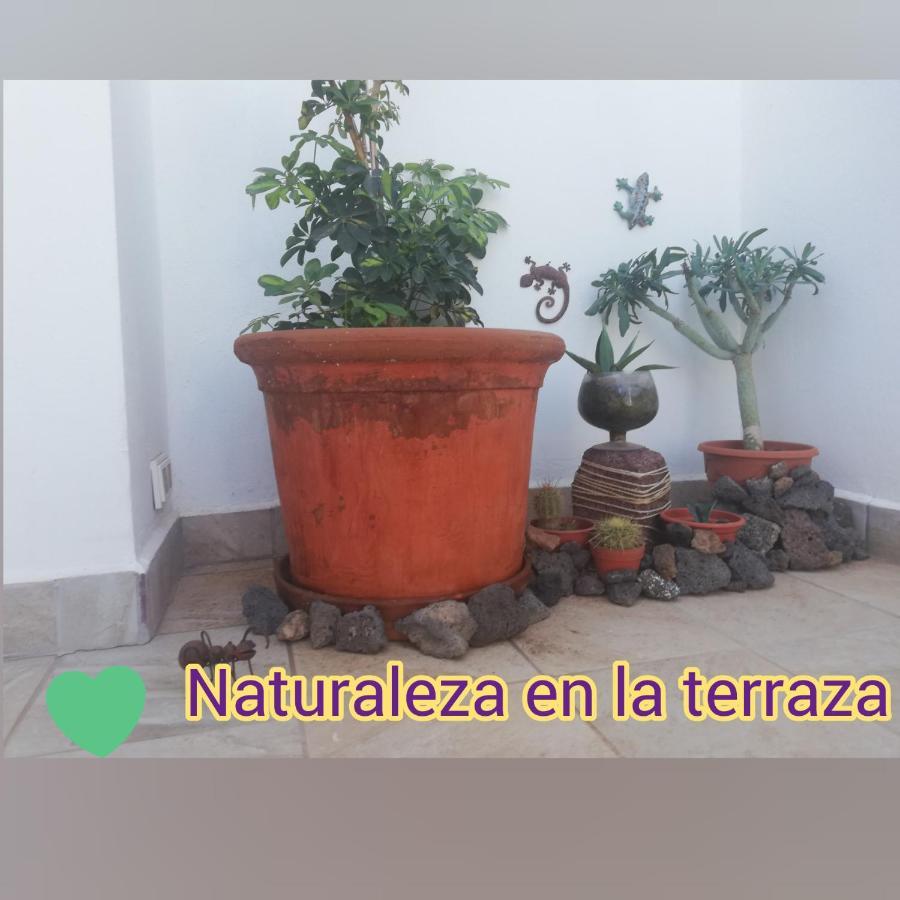 Love For Lanzarote Holidays House Playa Blanca  Exterior foto